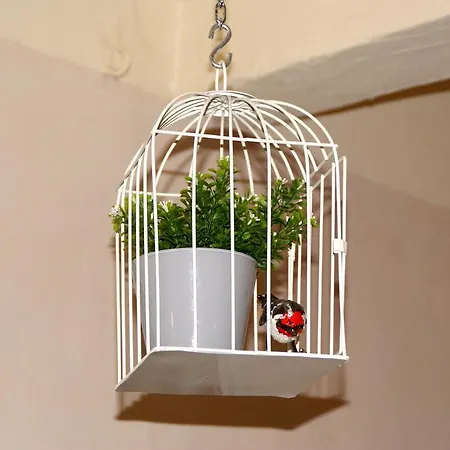 Lou Magnan Apartamento